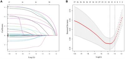 Development and validation of a predictive nomogram for subsequent contralateral hip fracture in elderly patients within 2 years after hip fracture surgery